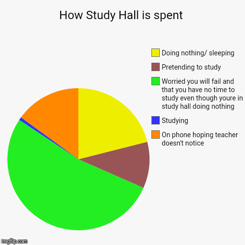 How Study Hall is spent | On phone hoping teacher doesn't notice, Studying, Worried you will fail and that you have no time to study even th | image tagged in funny,pie charts | made w/ Imgflip chart maker