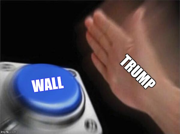 Blank Nut Button | TRUMP; WALL | image tagged in memes,blank nut button | made w/ Imgflip meme maker