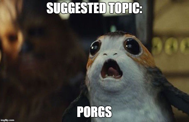 Star Wars Porg | SUGGESTED TOPIC:; PORGS | image tagged in star wars porg | made w/ Imgflip meme maker