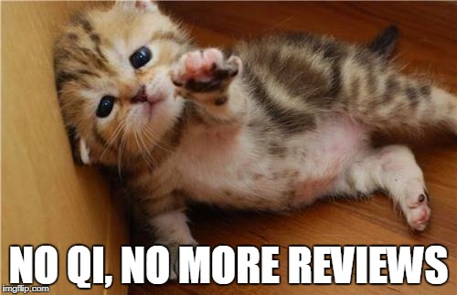 Help Me Kitten | NO QI, NO MORE REVIEWS | image tagged in help me kitten | made w/ Imgflip meme maker