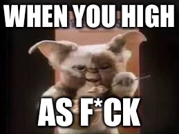 WHEN YOU HIGH; AS F*CK | image tagged in when you high | made w/ Imgflip meme maker