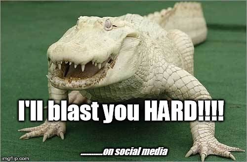 Albino Aligator | I'll blast you HARD!!!! ............on social media | image tagged in albino aligator | made w/ Imgflip meme maker