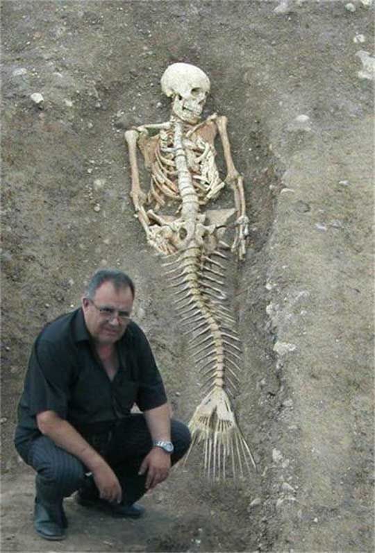 Mermaid Skeleton Blank Meme Template