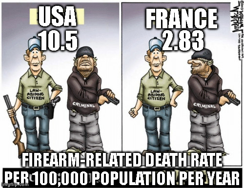 And this is just an example... | FRANCE; USA; 10.5                   2.83; FIREARM-RELATED DEATH RATE PER 100,000 POPULATION PER YEAR | image tagged in mass shooting | made w/ Imgflip meme maker