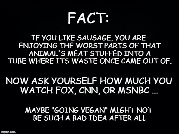 Black background | FACT:; IF YOU LIKE SAUSAGE, YOU ARE ENJOYING THE WORST PARTS OF THAT ANIMAL'S MEAT STUFFED INTO A TUBE WHERE ITS WASTE ONCE CAME OUT OF. NOW ASK YOURSELF HOW MUCH YOU WATCH FOX, CNN, OR MSNBC ... MAYBE "GOING VEGAN" MIGHT NOT BE SUCH A BAD IDEA AFTER ALL | image tagged in black background | made w/ Imgflip meme maker