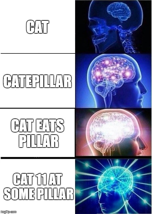Expanding Brain | CAT; CATEPILLAR; CAT EATS PILLAR; CAT 11 AT SOME PILLAR | image tagged in memes,expanding brain | made w/ Imgflip meme maker