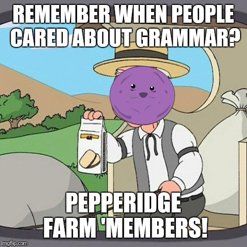 Pepperidge Farm Remembers Meme | REMEMBER WHEN PEOPLE CARED ABOUT GRAMMAR? PEPPERIDGE FARM 'MEMBERS! | image tagged in memes,pepperidge farm remembers | made w/ Imgflip meme maker