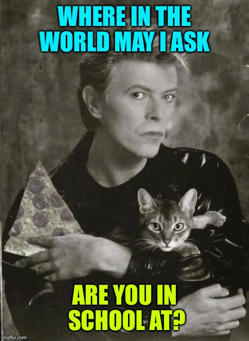 WHERE IN THE WORLD MAY I ASK ARE YOU IN SCHOOL AT? | made w/ Imgflip meme maker