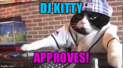 DJ KITTY APPROVES! | made w/ Imgflip meme maker