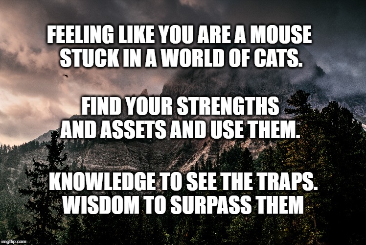 The Tom and Jerry effect | FEELING LIKE YOU ARE A MOUSE STUCK IN A WORLD OF CATS. FIND YOUR STRENGTHS AND ASSETS AND USE THEM. KNOWLEDGE TO SEE THE TRAPS. WISDOM TO SURPASS THEM | image tagged in life,motivation,inspirational,goals,wisdom,knowledge | made w/ Imgflip meme maker