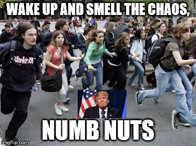Crowd Running | WAKE UP AND SMELL THE CHAOS, NUMB NUTS | image tagged in crowd running | made w/ Imgflip meme maker