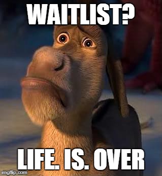 sad donkey | WAITLIST? LIFE. IS. OVER | image tagged in sad donkey | made w/ Imgflip meme maker