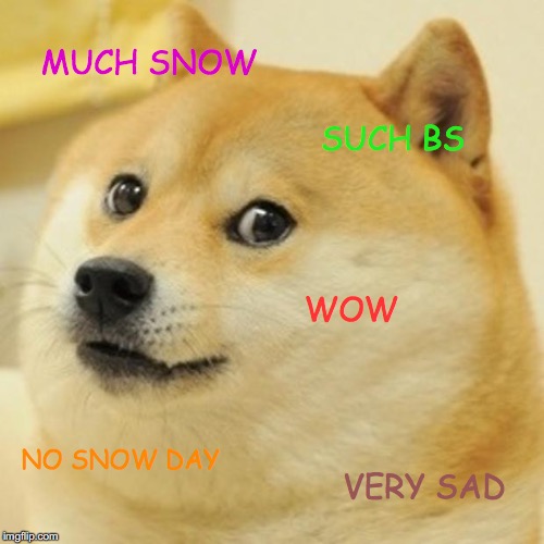 Doge Meme | MUCH SNOW; SUCH BS; WOW; NO SNOW DAY; VERY SAD | image tagged in memes,doge | made w/ Imgflip meme maker