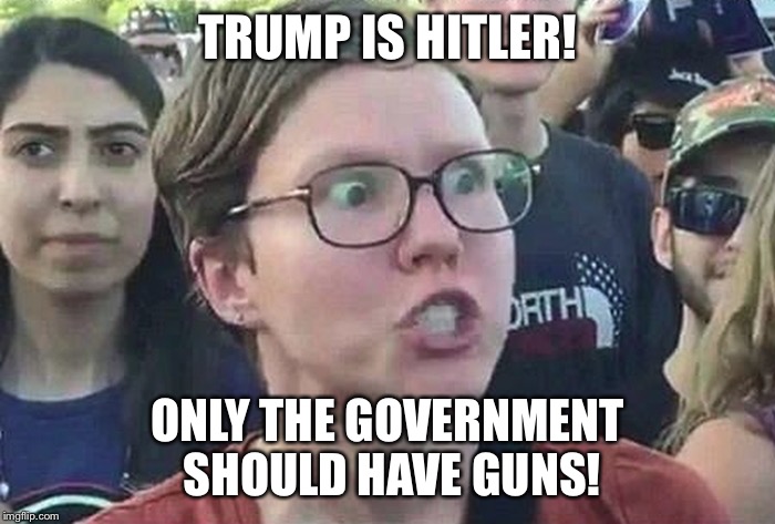 Triggered Liberal | TRUMP IS HITLER! ONLY THE GOVERNMENT SHOULD HAVE GUNS! | image tagged in triggered liberal,goofy stupid liberal college student,liberal logic,liberal hypocrisy,retarded liberal protesters | made w/ Imgflip meme maker