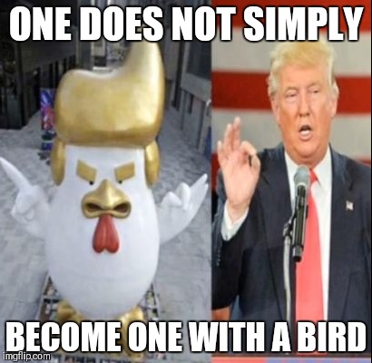 ONE DOES NOT SIMPLY BECOME ONE WITH A BIRD | made w/ Imgflip meme maker