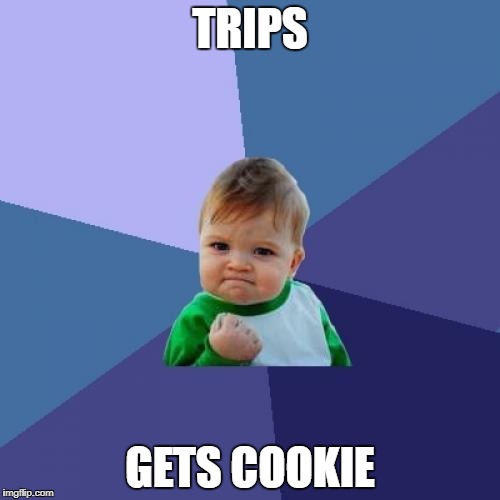 Success Kid | TRIPS; GETS COOKIE | image tagged in memes,success kid | made w/ Imgflip meme maker