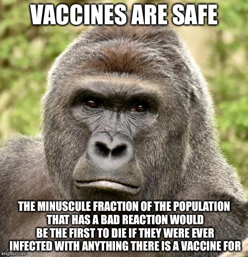 Har | VACCINES ARE SAFE THE MINUSCULE FRACTION OF THE POPULATION THAT HAS A BAD REACTION WOULD BE THE FIRST TO DIE IF THEY WERE EVER INFECTED WITH | image tagged in har | made w/ Imgflip meme maker