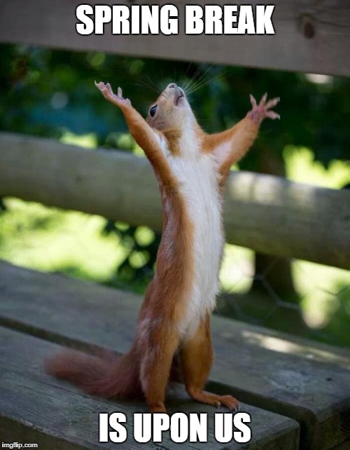 Happy Squirrel | SPRING BREAK; IS UPON US | image tagged in happy squirrel | made w/ Imgflip meme maker