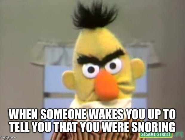 Sesame Street - Angry Bert | WHEN SOMEONE WAKES YOU UP TO TELL YOU THAT YOU WERE SNORING | image tagged in sesame street - angry bert | made w/ Imgflip meme maker