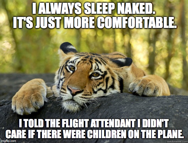 terrible tiger | I ALWAYS SLEEP NAKED. IT'S JUST MORE COMFORTABLE. I TOLD THE FLIGHT ATTENDANT I DIDN'T CARE IF THERE WERE CHILDREN ON THE PLANE. | image tagged in terrible tiger,flying,funny | made w/ Imgflip meme maker