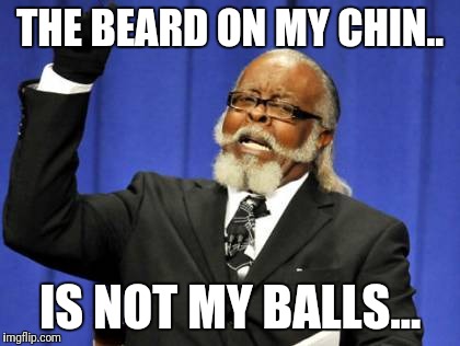 Too Damn High Meme | THE BEARD ON MY CHIN.. IS NOT MY BALLS... | image tagged in memes,too damn high | made w/ Imgflip meme maker
