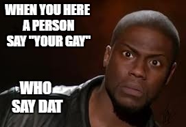 Kevin Hart | WHEN YOU HERE A PERSON SAY "YOUR GAY"; WHO SAY DAT | image tagged in memes,kevin hart the hell | made w/ Imgflip meme maker