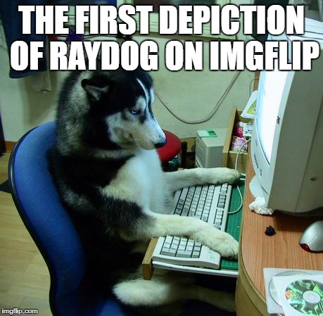 I Have No Idea What I Am Doing Meme | THE FIRST DEPICTION OF RAYDOG ON IMGFLIP | image tagged in memes,i have no idea what i am doing | made w/ Imgflip meme maker