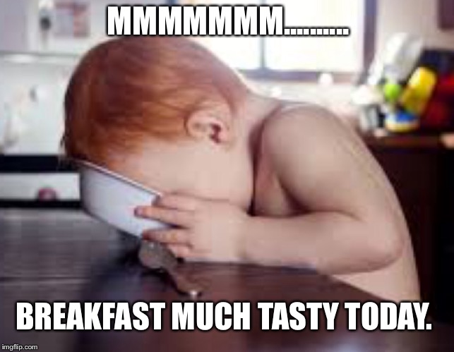 MMMMMMM.......... BREAKFAST MUCH TASTY TODAY. | image tagged in babies,baby,breakfast | made w/ Imgflip meme maker