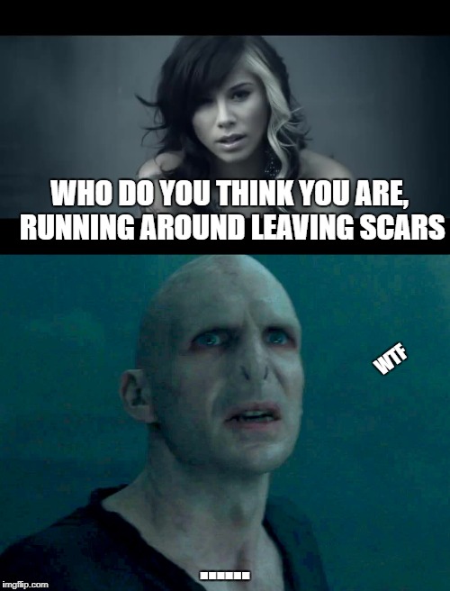 Christina Perri got guts | WHO DO YOU THINK YOU ARE, RUNNING AROUND LEAVING SCARS; WTF; ...... | image tagged in harry potter | made w/ Imgflip meme maker