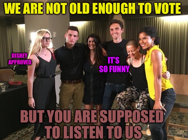 Life Crisis Laughter | WE ARE NOT OLD ENOUGH TO VOTE; DISNEY APPROVED; IT’S SO FUNNY; BUT YOU ARE SUPPOSED TO LISTEN TO US | image tagged in david hogg crisis actor,disney,punk,gay,florida,scumbag | made w/ Imgflip meme maker