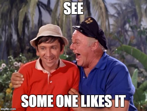 gilligan | SEE SOME ONE LIKES IT | image tagged in gilligan | made w/ Imgflip meme maker