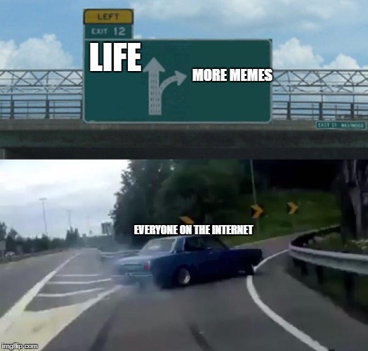 Left Exit 12 Off Ramp Meme | LIFE; MORE MEMES; EVERYONE ON THE INTERNET | image tagged in memes,left exit 12 off ramp | made w/ Imgflip meme maker