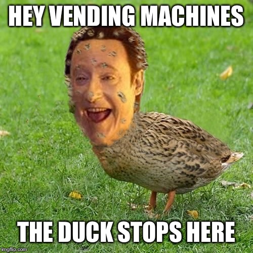 Make a wish | HEY VENDING MACHINES; THE DUCK STOPS HERE | image tagged in cool bullshit da data duckith,the data duck in the muck truck,ok thank you | made w/ Imgflip meme maker