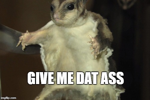 Give me dat ass | GIVE ME DAT ASS | image tagged in sexy,ass,model,sexy women,that face,when life gives you lemons | made w/ Imgflip meme maker