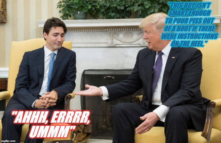 Smart enough to  | "THIS BOY, ISN’T SMART ENOUGH TO POUR PISS OUT OF A BOOT IF THERE WERE INSTRUCTIONS ON THE HEEL,”; "AHHH, ERRRR, UMMM" | image tagged in trump trudeau,justin trudeau,trudeau,donald trump,donald trump pointing | made w/ Imgflip meme maker