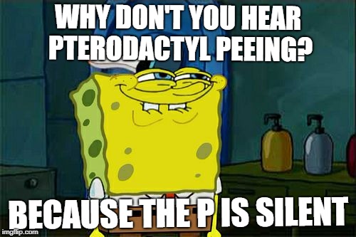 Don't You Squidward Meme | WHY DON'T YOU HEAR PTERODACTYL PEEING? BECAUSE THE P IS SILENT | image tagged in memes,dont you squidward | made w/ Imgflip meme maker