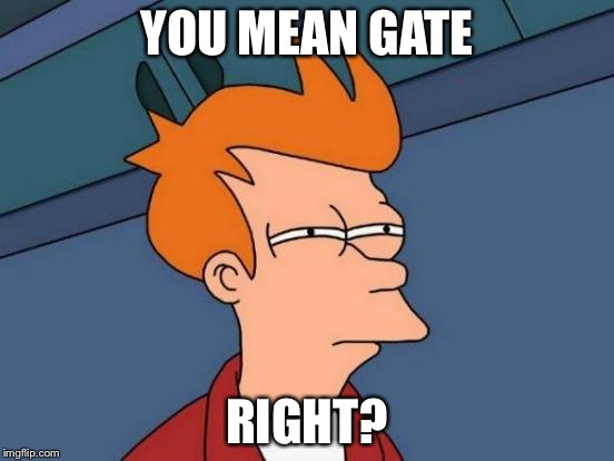 Futurama Fry Meme | YOU MEAN GATE RIGHT? | image tagged in memes,futurama fry | made w/ Imgflip meme maker