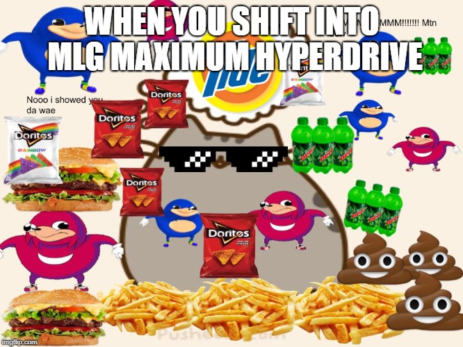 Pusheen McFluffy | WHEN YOU SHIFT INTO MLG MAXIMUM HYPERDRIVE | image tagged in hewo | made w/ Imgflip meme maker