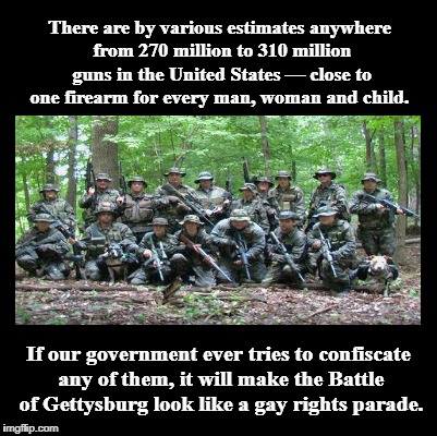 Gun Ownership Statistics | There are by various estimates anywhere from 270 million to 310 million guns in the United States — close to one firearm for every man, woman and child. If our government ever tries to confiscate any of them, it will make the Battle of Gettysburg look like a gay rights parade. | image tagged in 2nd amendment,bill of rights,us constitution,united states militias,right to keep and bear arms | made w/ Imgflip meme maker