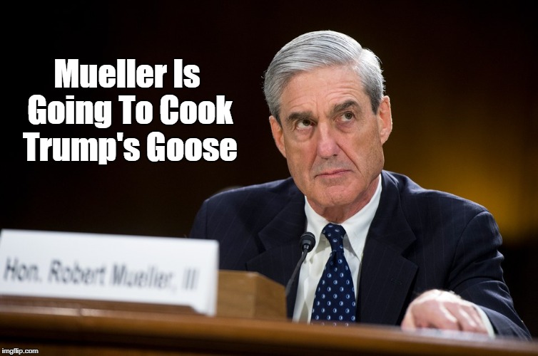 Mueller Is Going To Cook Trump's Goose | made w/ Imgflip meme maker