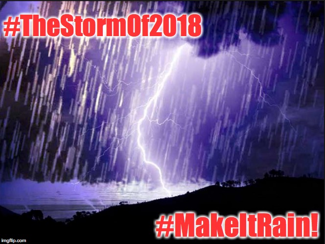 The Storm of 2018 | #TheStormOf2018; #MakeItRain! | image tagged in make it rain | made w/ Imgflip meme maker