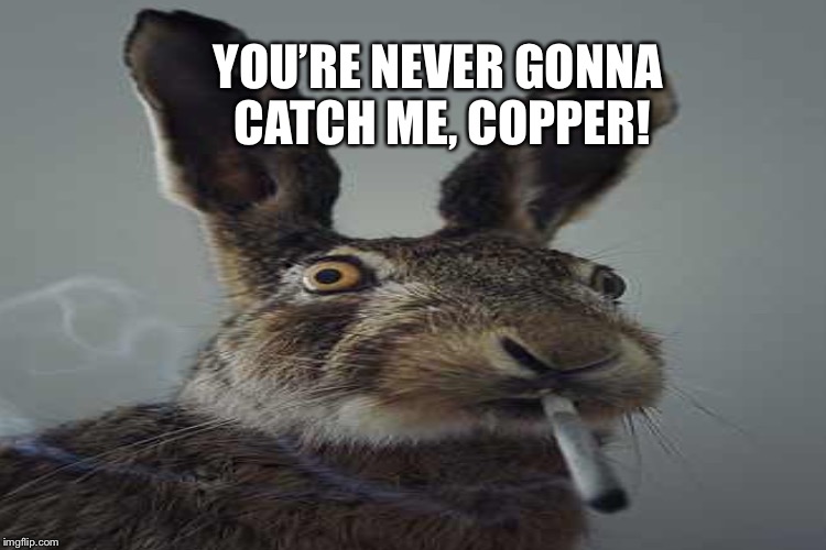 YOU’RE NEVER GONNA CATCH ME, COPPER! | made w/ Imgflip meme maker
