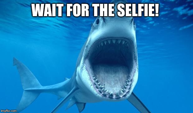 shark open mouth | WAIT FOR THE SELFIE! | image tagged in shark open mouth | made w/ Imgflip meme maker