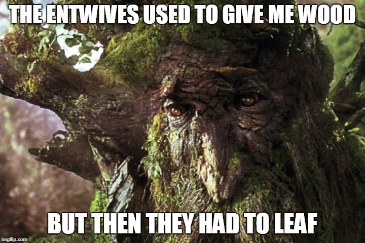 Sad Treebeard | THE ENTWIVES USED TO GIVE ME WOOD; BUT THEN THEY HAD TO LEAF | image tagged in lotr,tree,trees,pun,bad pun,lord of the rings | made w/ Imgflip meme maker