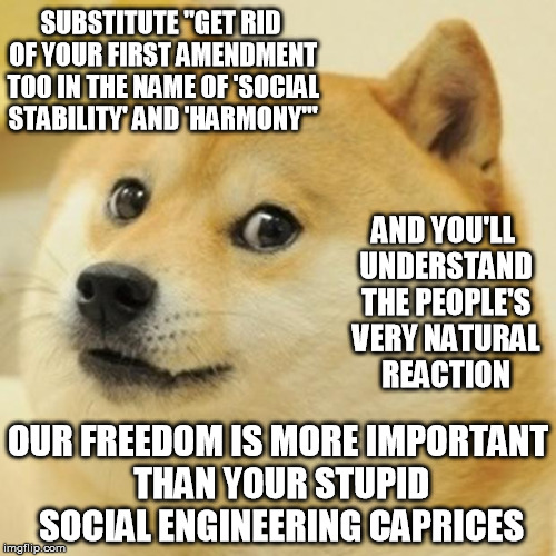 Doge Meme | SUBSTITUTE "GET RID OF YOUR FIRST AMENDMENT TOO IN THE NAME OF 'SOCIAL STABILITY' AND 'HARMONY'" AND YOU'LL UNDERSTAND THE PEOPLE'S VERY NAT | image tagged in memes,doge | made w/ Imgflip meme maker