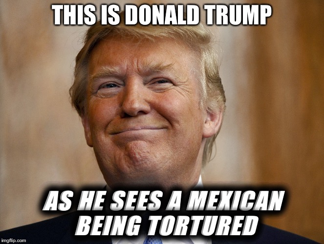 Donald Trump | THIS IS DONALD TRUMP; AS HE SEES A MEXICAN BEING TORTURED | image tagged in funny,donald trump,donald,trump,mexicans,memes | made w/ Imgflip meme maker