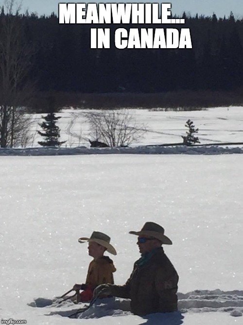 MEANWHILE...         IN CANADA | image tagged in horses | made w/ Imgflip meme maker