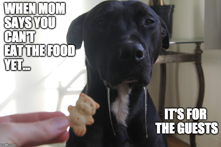 bearraider | WHEN MOM SAYS YOU CAN'T EAT THE FOOD YET... IT'S FOR THE GUESTS | image tagged in raider bear,droolface | made w/ Imgflip meme maker