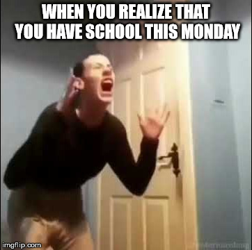 AAAAAAAAAAAAA | WHEN YOU REALIZE THAT YOU HAVE SCHOOL THIS MONDAY | image tagged in funny meme | made w/ Imgflip meme maker