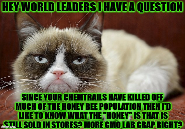 GRUMPY CAT | HEY WORLD LEADERS I HAVE A QUESTION; SINCE YOUR CHEMTRAILS HAVE KILLED OFF MUCH OF THE HONEY BEE POPULATION THEN I'D LIKE TO KNOW WHAT THE "HONEY" IS THAT IS STILL SOLD IN STORES? MORE GMO LAB CRAP RIGHT? | image tagged in grumpy cat | made w/ Imgflip meme maker